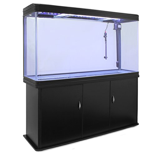 Monster Shop – Aquarium à Bords Noir de 300 litres, Meuble d