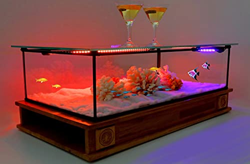 Table Basse Aquarium Alain Floch Design VITAE Chene Massif P