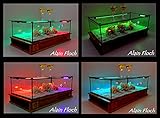 Table Aquarium Design